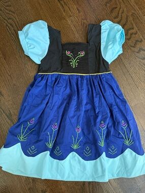 EUC frozen princess anna Embroidered Dress